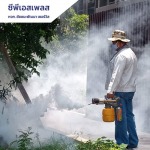 รับฉีดพ่นกำจัดยุง - กำจัดปลวก สมุทรปราการ ซีพีเอสเพลส