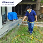รับวางระบบป้องกัน กำจัดปลวก - กำจัดปลวก สมุทรปราการ ซีพีเอสเพลส