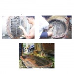 S S Alliance Co Ltd