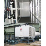 S S Alliance Co Ltd
