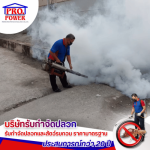 รับกำจัดแมลงบินรบกวน พัทยา ชลุบรี - บริษัทกำจัดปลวก กำจัดแมลง พัทยา ชลบุรี  ระยอง