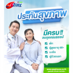 Easy Insure Broker Co., Ltd.