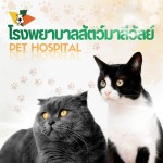 Maleewan Veterinary Hospital