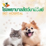 Maleewan Veterinary Hospital