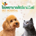 Maleewan Veterinary Hospital