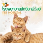 Maleewan Veterinary Hospital
