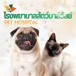 Maleewan Veterinary Hospital