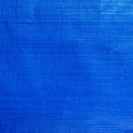 Kimhong (88) Canvas