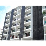 P Star Group Co Ltd
