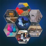 Masterbatches - บริษัท ซีล เคมีคอล จำกัด