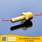 ขายข้อต่อทองเหลือง - เอสทีเอ็นซี