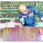Advance C T Engineering Co Ltd