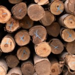 Eakwattana Timber Co Ltd
