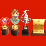 ถ้วยรางวัล - บริษัท เอ เอ็น ที ของชำร่วย จำกัด