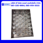 P Sonic And Engineering Co., Ltd.