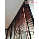 XZ Curtain