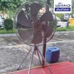 Jemaew Tent For Rent