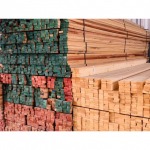 Maingamwood Trading