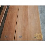 Sirilup Timber LP