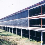 T Pro International Co Ltd
