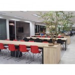 Urban Concept Co Ltd