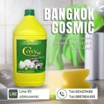 Bangkok Cosmic Co., Ltd.
