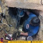 D Fine Consultant Co Ltd