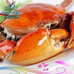 เมนูปู ช่องเขาซีฟู๊ดส์  หาดใหญ่ - ร้านอาหารทะเล ช่องเขาซีฟู๊ดส์ หาดใหญ่