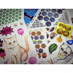 Design 74 Printing Co Ltd