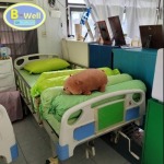 B-Well Healthcare