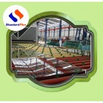 Standard Plus Service Co Ltd