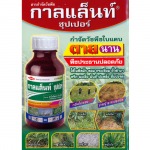 Por Kasetphan Chumphon LP