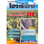 Por Kasetphan Chumphon LP