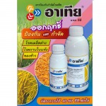 Por Kasetphan Chumphon LP