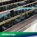 Srivichailohakit Karnchup LP