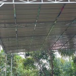 Pradit Karnchang