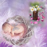 Fragrance oil for baby/ allergen free - F T Fragrance Co., Ltd.