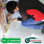 S P T Inter Trading & Service 2009 Co., Ltd.
