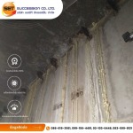 SET Succession Co Ltd