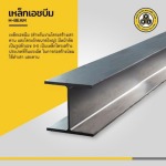 T N L Steel Co Ltd