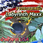 กำจัดปลวกด้วยระบบเหยื่อ นนทบุรี - กำจัดปลวก บางบัวทอง เอส วี โฮมอินเตอร์