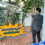 Bang Bua Thong Termite Extermination Company - SV Homeinter Services Co Ltd