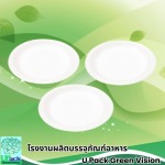 U Pack Green Vision Co, Ltd.