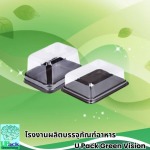U Pack Green Vision Co, Ltd.