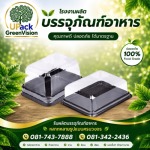 U Pack Green Vision Co, Ltd.
