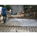 S P Service Pest Control LP