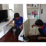 S P Service Pest Control LP