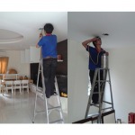 S P Service Pest Control LP