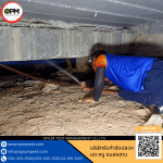 กำจัดปลวกด่วนกรุงเทพ - โอเปี้ยม เพสท์ แมเนจเม้นท์