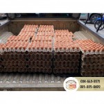 Wholesale chicken eggs - Nichakamol Khaisod